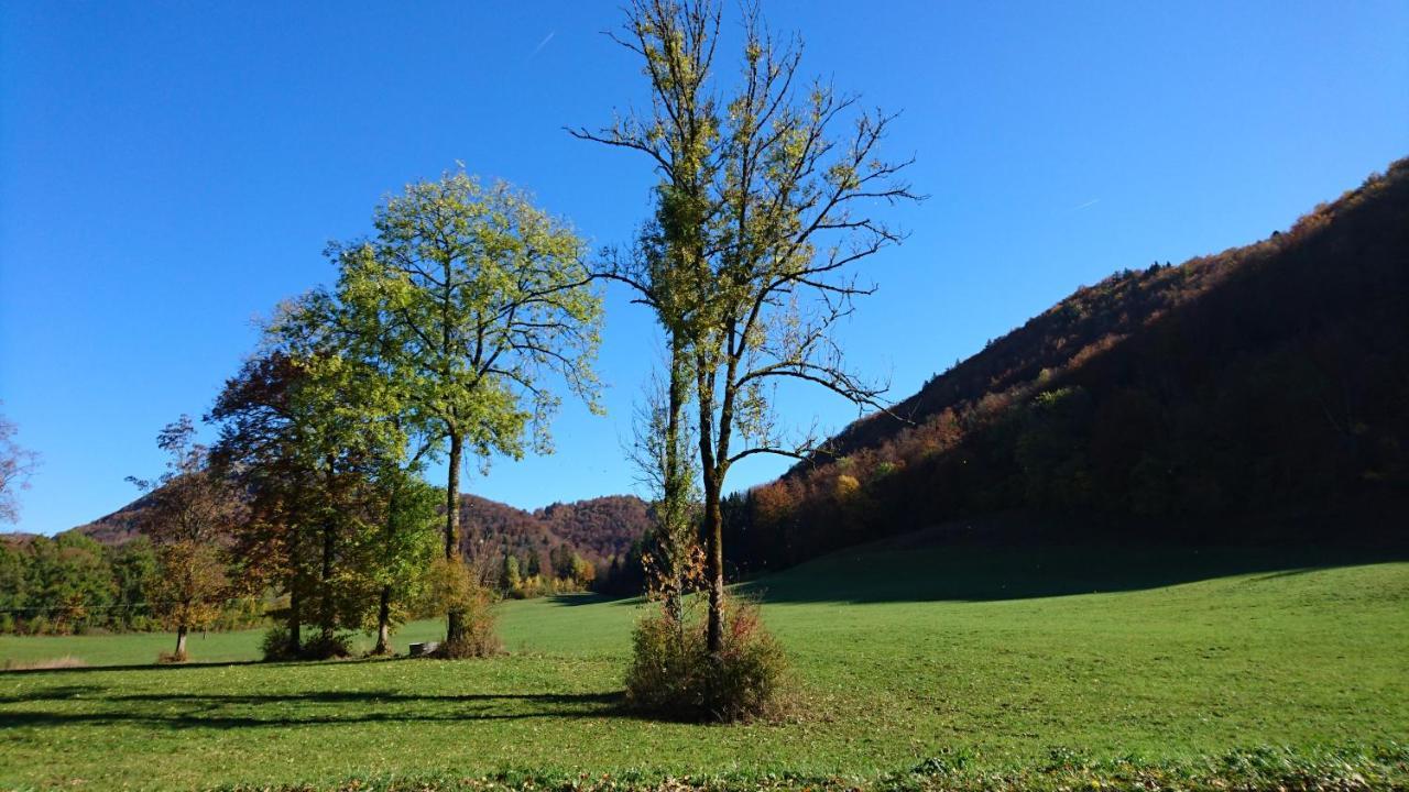 Aux Truites Bleues Hotel Fort-du-Plasne Bagian luar foto