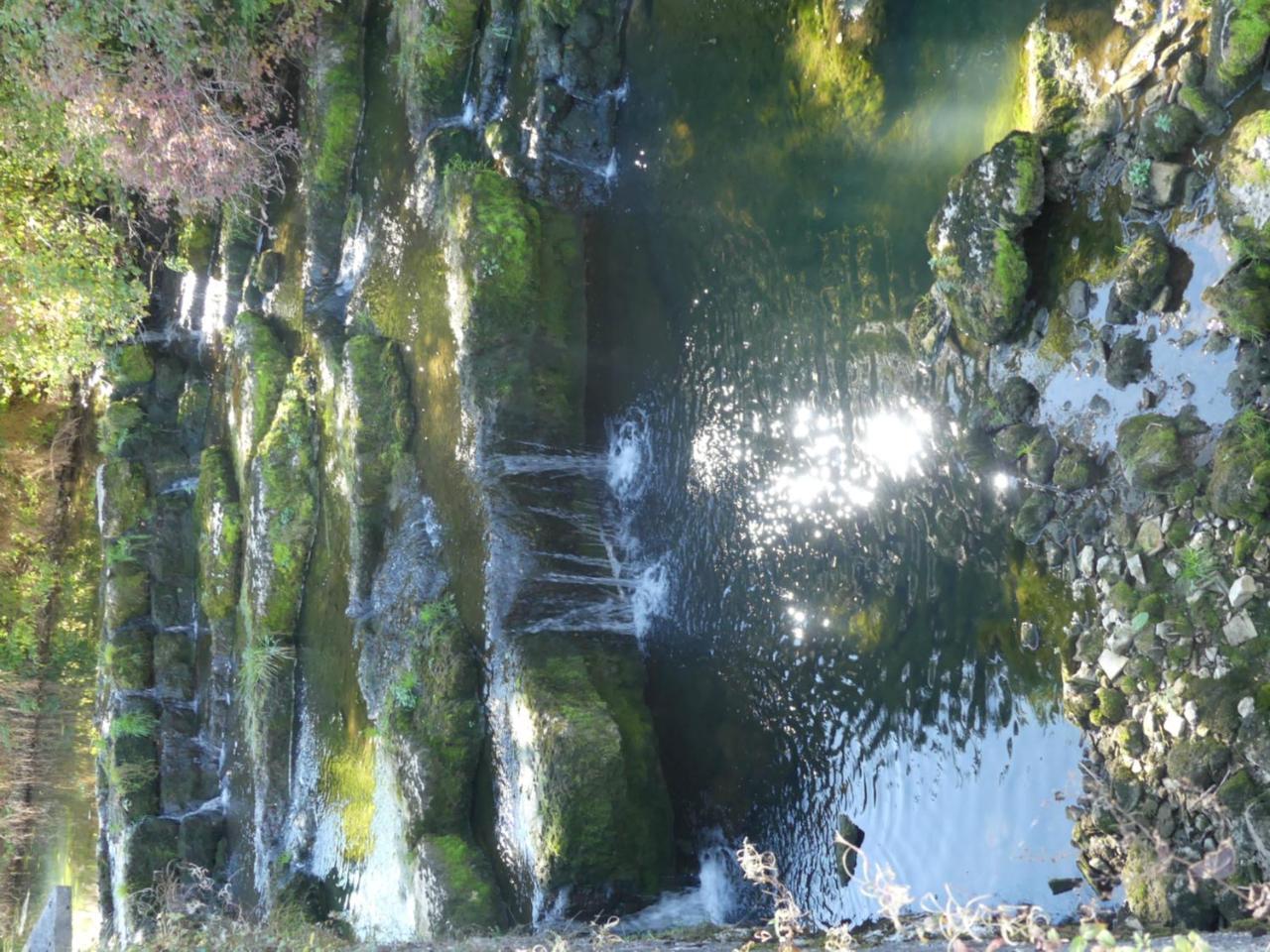 Aux Truites Bleues Hotel Fort-du-Plasne Bagian luar foto
