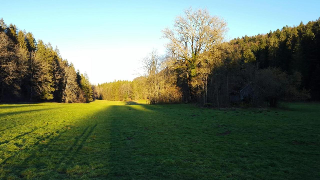Aux Truites Bleues Hotel Fort-du-Plasne Bagian luar foto