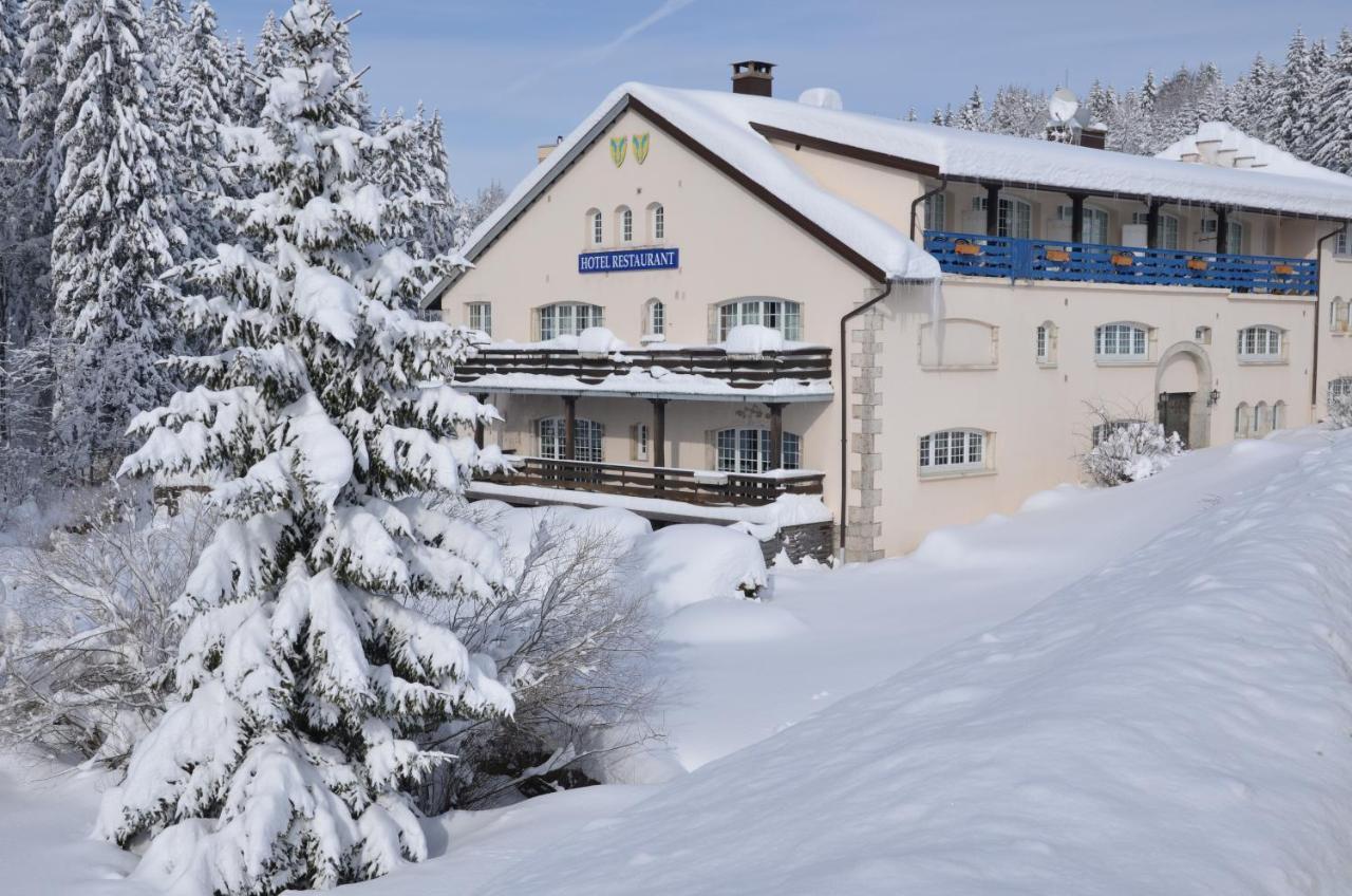 Aux Truites Bleues Hotel Fort-du-Plasne Bagian luar foto