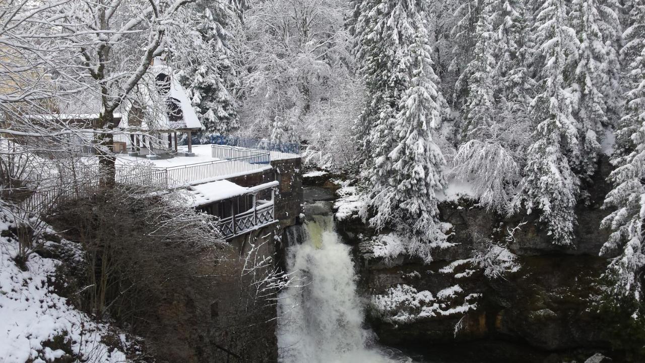 Aux Truites Bleues Hotel Fort-du-Plasne Bagian luar foto